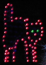Hallowe'en Cat