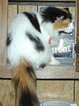 i know where she keeps da garbage fud!!!!