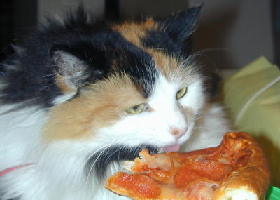 PIZZA!
