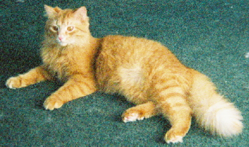 Nathan the Elegant (it's an act!)