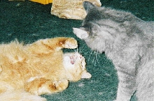 Nathan & Jess