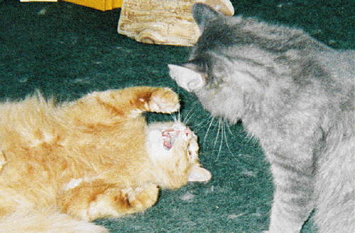 Nathan & Jess
