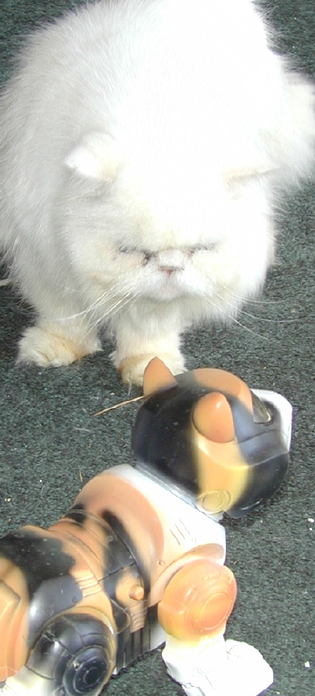 Percival & da Beast
