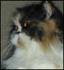OthfurProfile