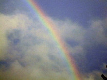 Ceilidh's Rainbow