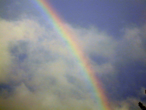 Ceilidh's Rainbow