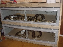 Retics1