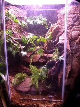 60 gallon hex