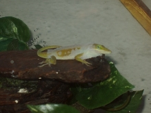 nameless in shed
