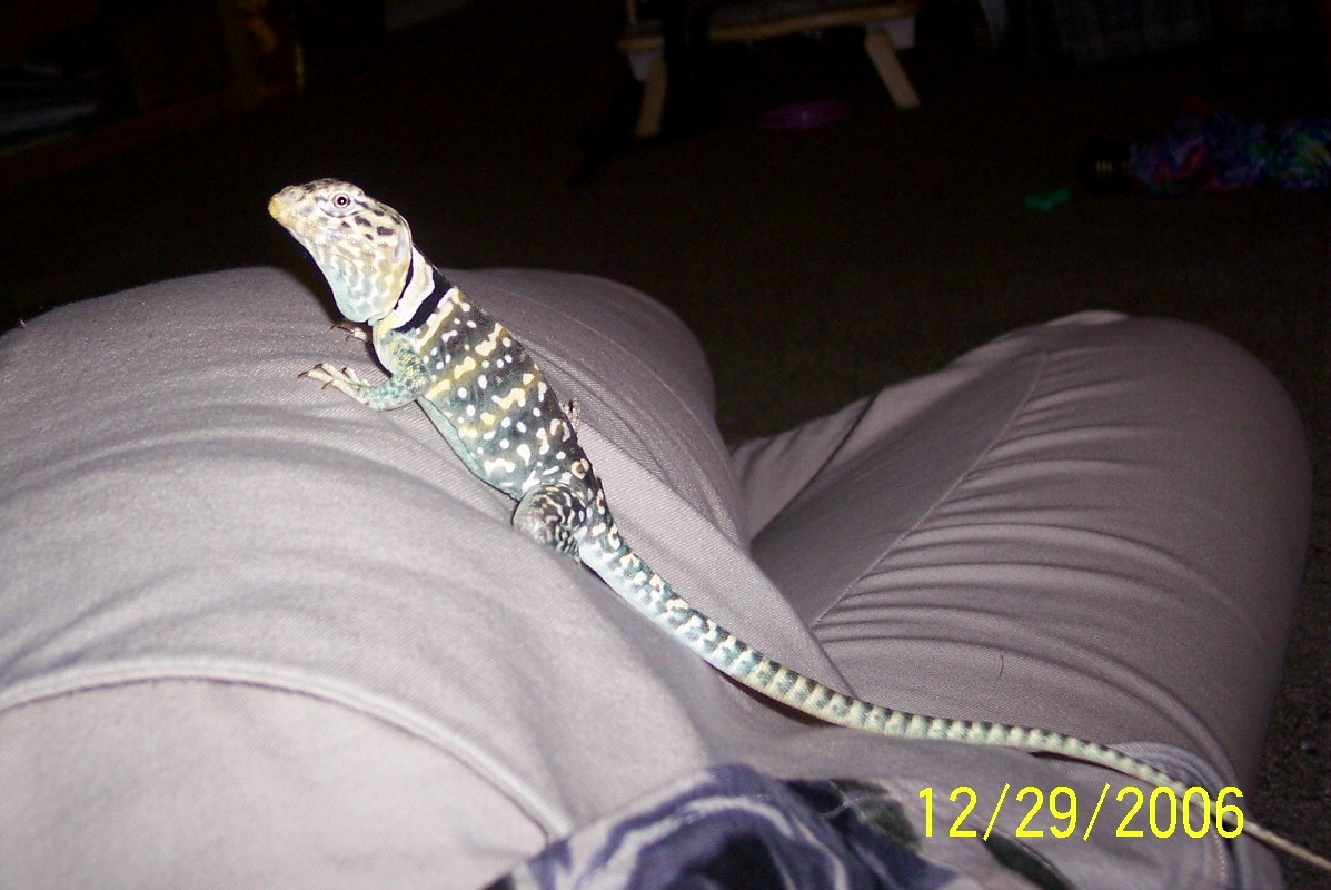 Spike