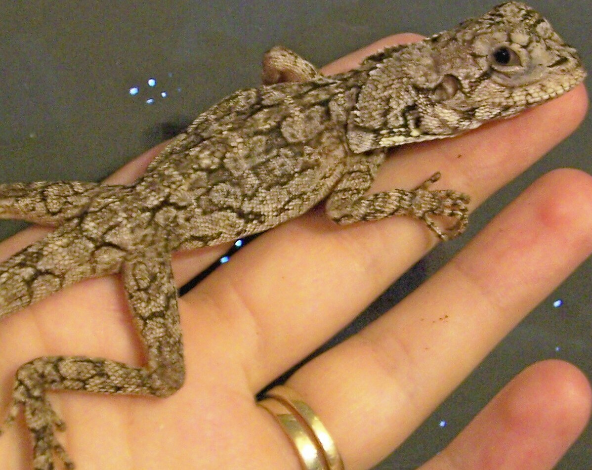 New baby!