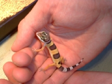 Ren as a baby