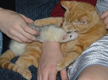 Stevie and Twinky