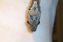 skull head pattern example