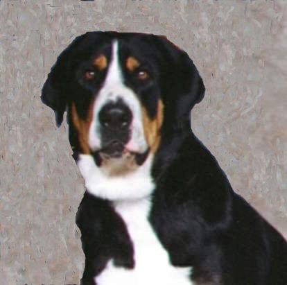 Dixie