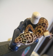 Back flip by the action figure