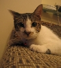 Snuffy (pronounced as Sir Nuffy)
