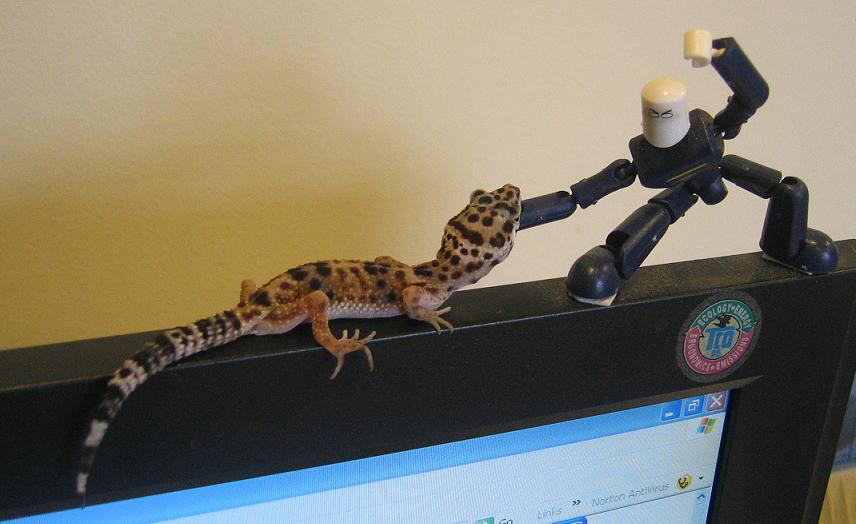 Attack!