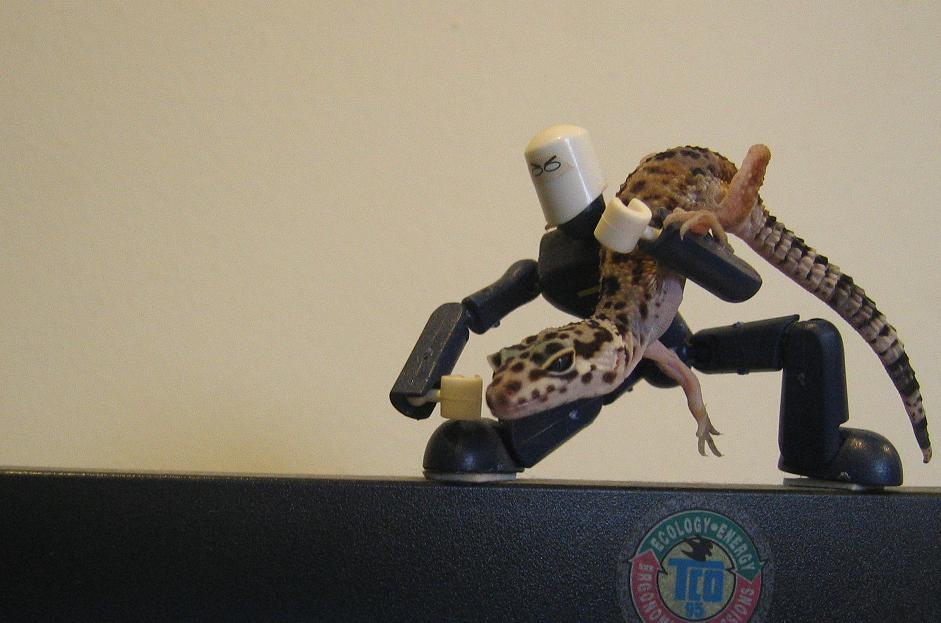 gotten hold of the lizard