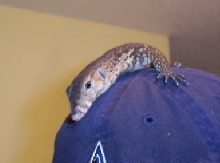 Petre posing for a pic