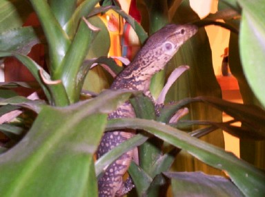 Petre posing for a pic