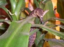 Petre posing for a pic