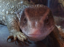 Samone getting warm