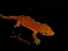 Inferno