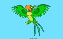 argparrot