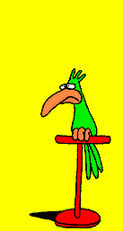 parrot gif