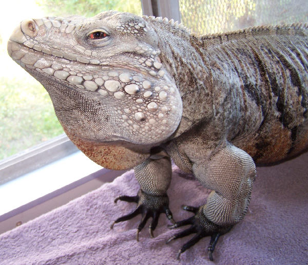 Is my head big or are my feet too small?