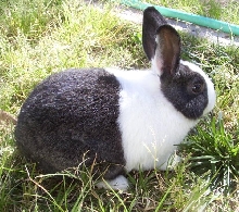 In the grass