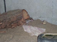 Demon, male picta