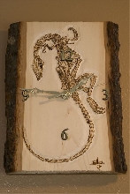 Fossil Clock in Bass Wood
