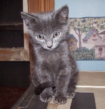 joseph on computer shelf