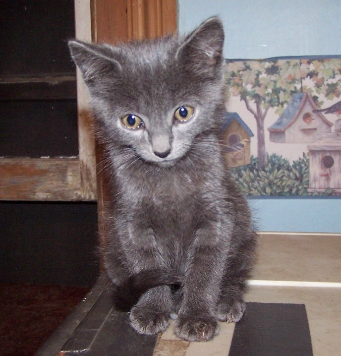 joseph on computer shelf