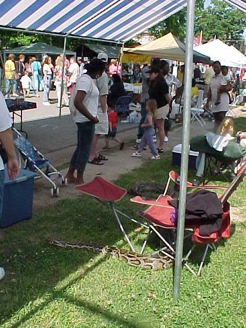 Slick at Franklinton Fair3