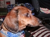 Baron
