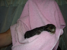 Boy #2