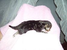 Boy #1