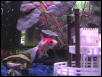 My Fish Tank 2