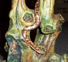 Baby Kenyan Sand Boa