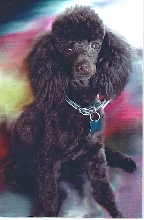 Jacques2