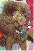 Jacques3