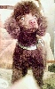 Jacques_NewCut