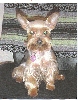 Sofie