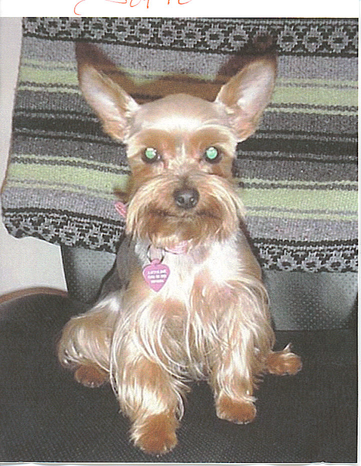 Sofie