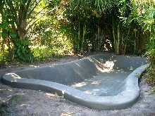 New Pond