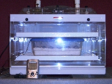 Dwarf Caiman Egg Incubator