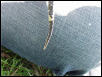 chewies tail